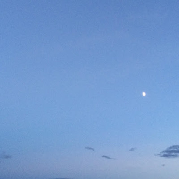 Meet your Posher, Mary - Picture 1 of 1